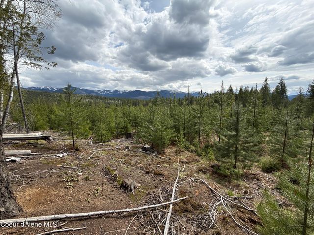 1094 Spirit Wolf TRL, Sandpoint, ID 83864