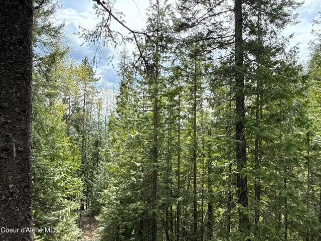 1094 Spirit Wolf TRL, Sandpoint, ID 83864