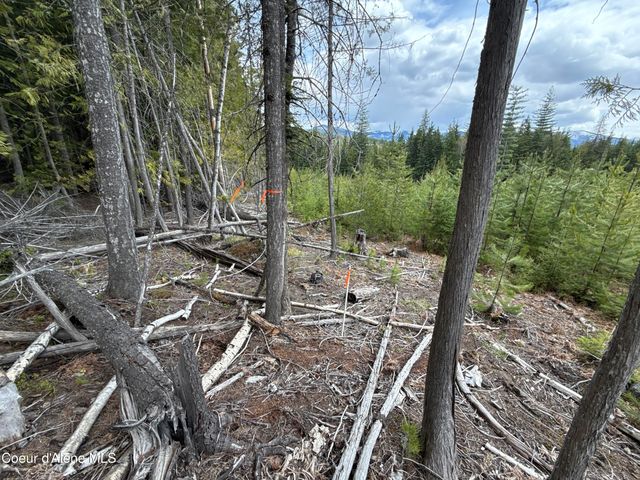 1094 Spirit Wolf TRL, Sandpoint, ID 83864