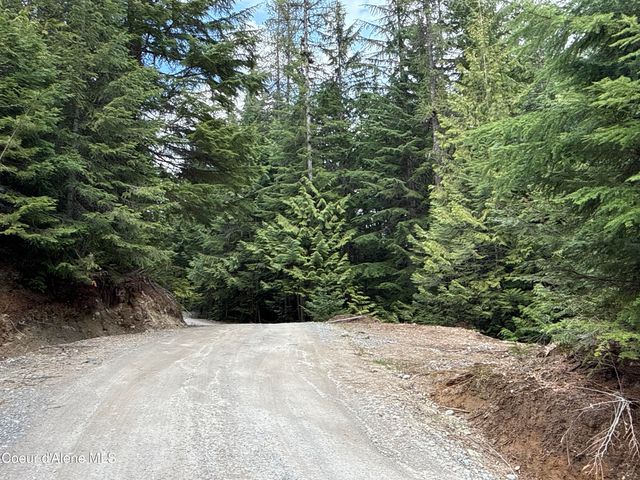 1094 Spirit Wolf TRL, Sandpoint, ID 83864