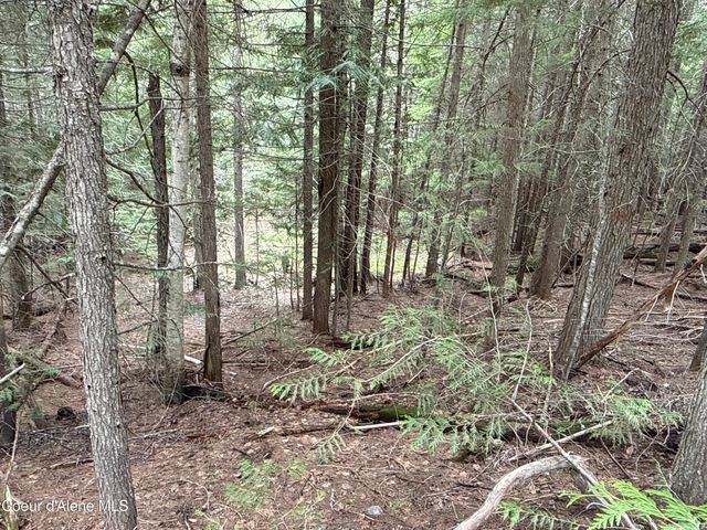 1094 Spirit Wolf TRL, Sandpoint, ID 83864