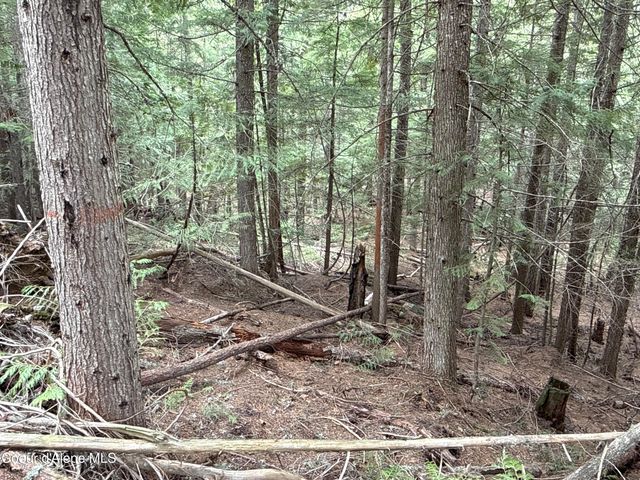 1094 Spirit Wolf TRL, Sandpoint, ID 83864