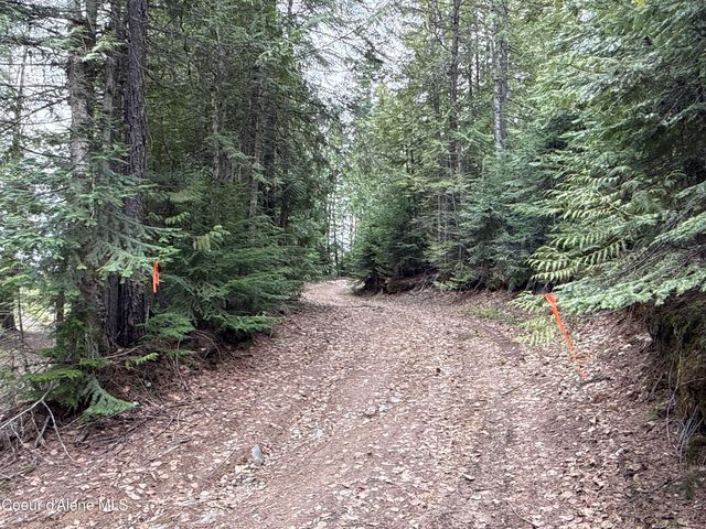 1094 Spirit Wolf TRL, Sandpoint, ID 83864