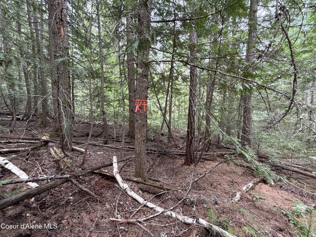 1094 Spirit Wolf TRL, Sandpoint, ID 83864