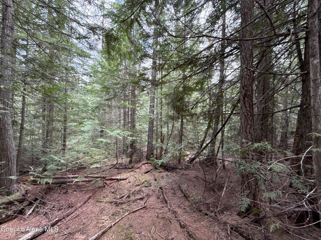 1094 Spirit Wolf TRL, Sandpoint, ID 83864