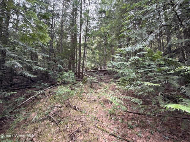 1094 Spirit Wolf TRL, Sandpoint, ID 83864