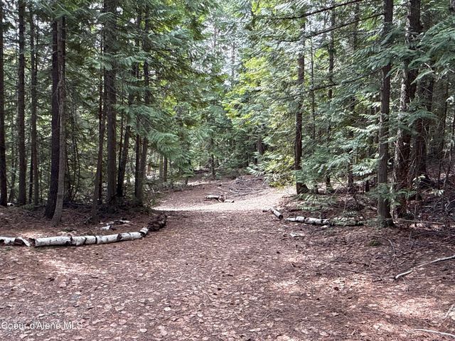 1094 Spirit Wolf TRL, Sandpoint, ID 83864