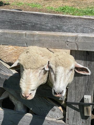 216 North Road, Candia, NH 03034