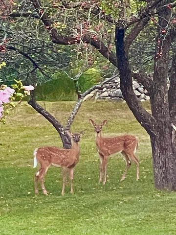 216 North Road, Candia, NH 03034