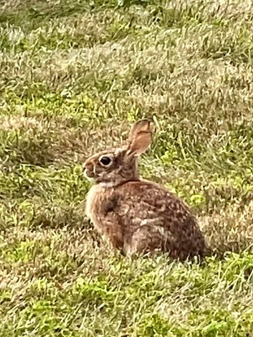 216 North Road, Candia, NH 03034