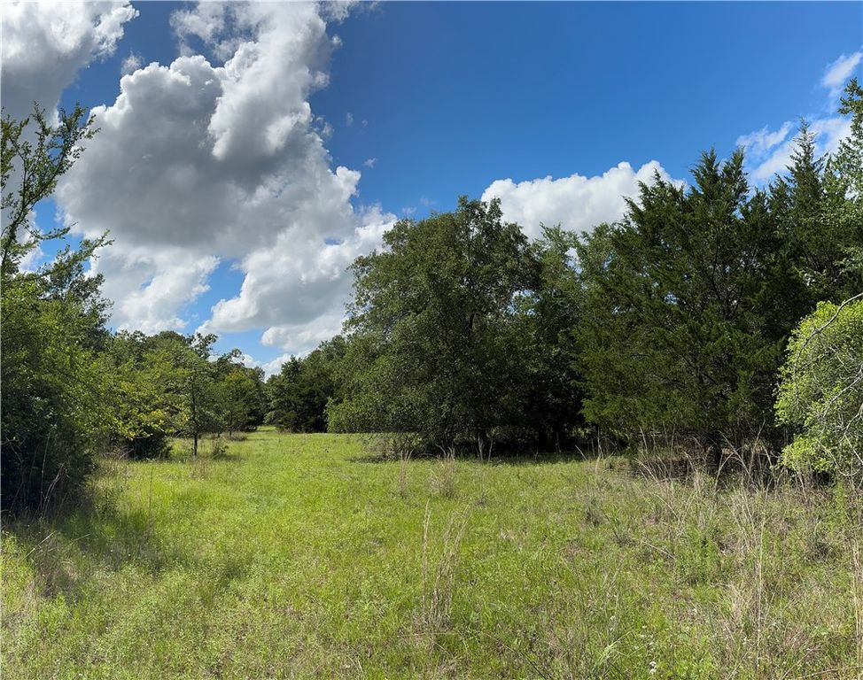 TBD Pin Oak Road, Franklin, TX 77856 — photo 2