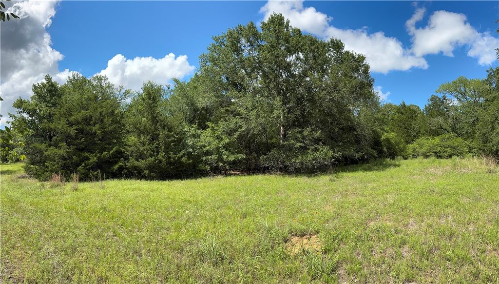 TBD Pin Oak Road, Franklin, TX 77856 — photo 4
