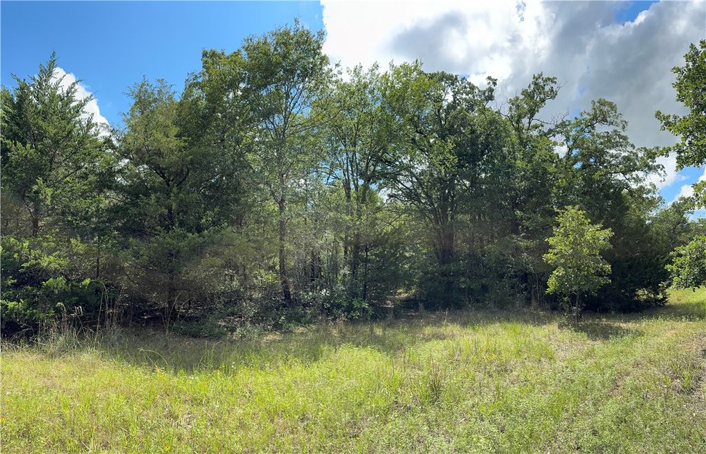 TBD Pin Oak Road, Franklin, TX 77856 — photo 5