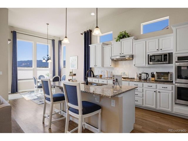 17311 Leisure Lake Dr, Monument, CO 80132