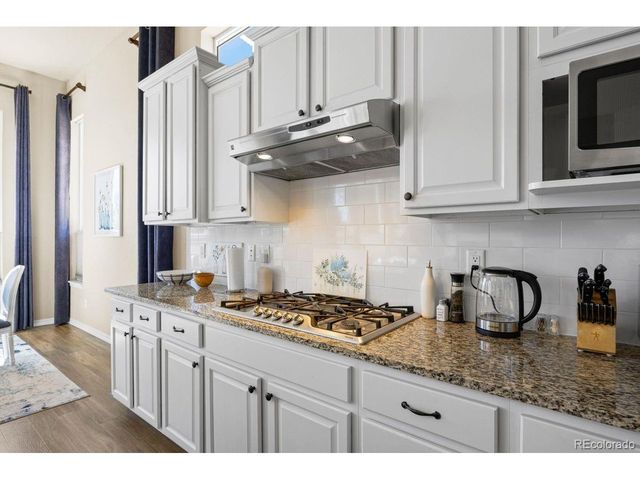 17311 Leisure Lake Dr, Monument, CO 80132