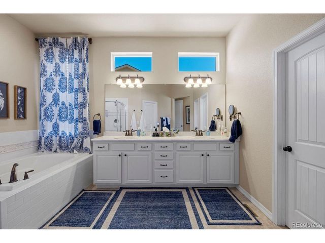 17311 Leisure Lake Dr, Monument, CO 80132