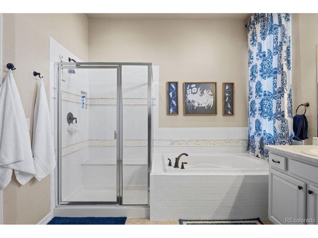 17311 Leisure Lake Dr, Monument, CO 80132