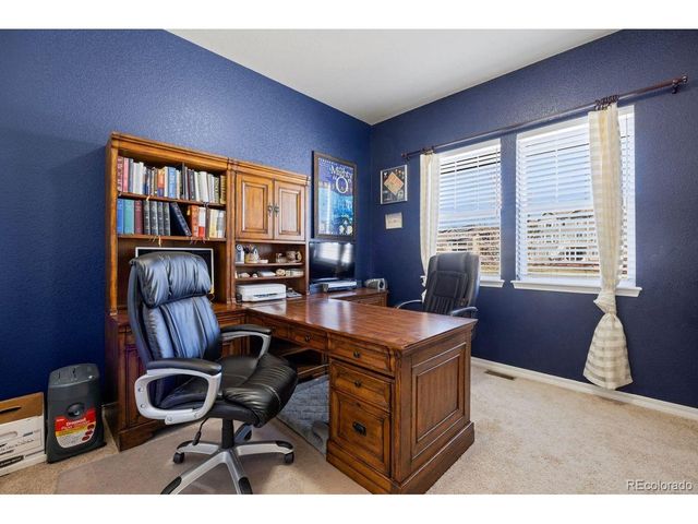 17311 Leisure Lake Dr, Monument, CO 80132