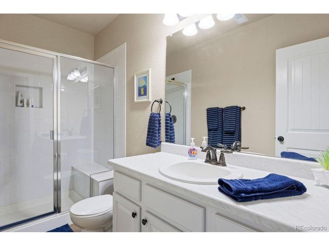 17311 Leisure Lake Dr, Monument, CO 80132