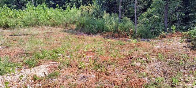 6 Carnahan Lane, Bella Vista, AR 72715