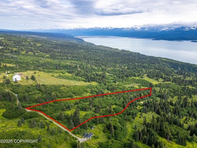 36484 Wild Haven Road, Homer, AK 99603