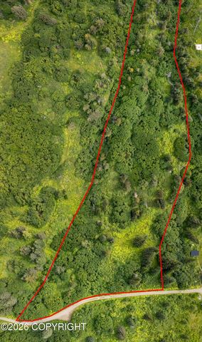 36484 Wild Haven Road, Homer, AK 99603