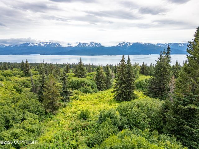 36484 Wild Haven Road, Homer, AK 99603