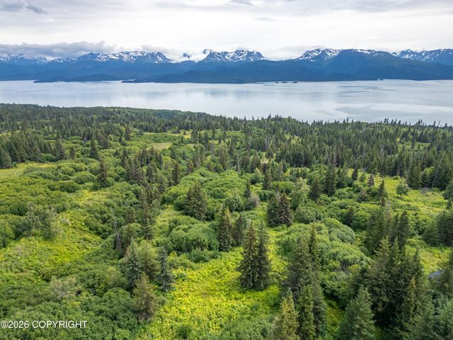 36484 Wild Haven Road, Homer, AK 99603