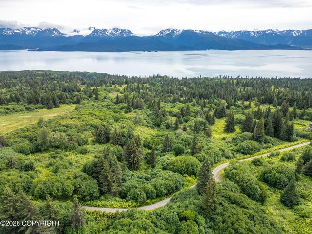 36484 Wild Haven Road, Homer, AK 99603