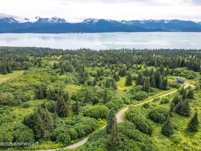 36484 Wild Haven Road, Homer, AK 99603