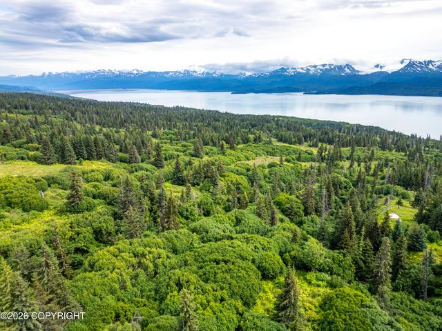 36484 Wild Haven Road, Homer, AK 99603