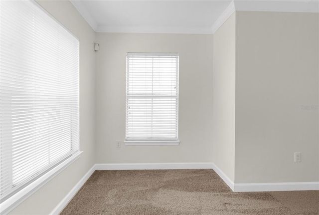 18434 BRIDLE CLUB DRIVE 18434, Tampa, FL 33647
