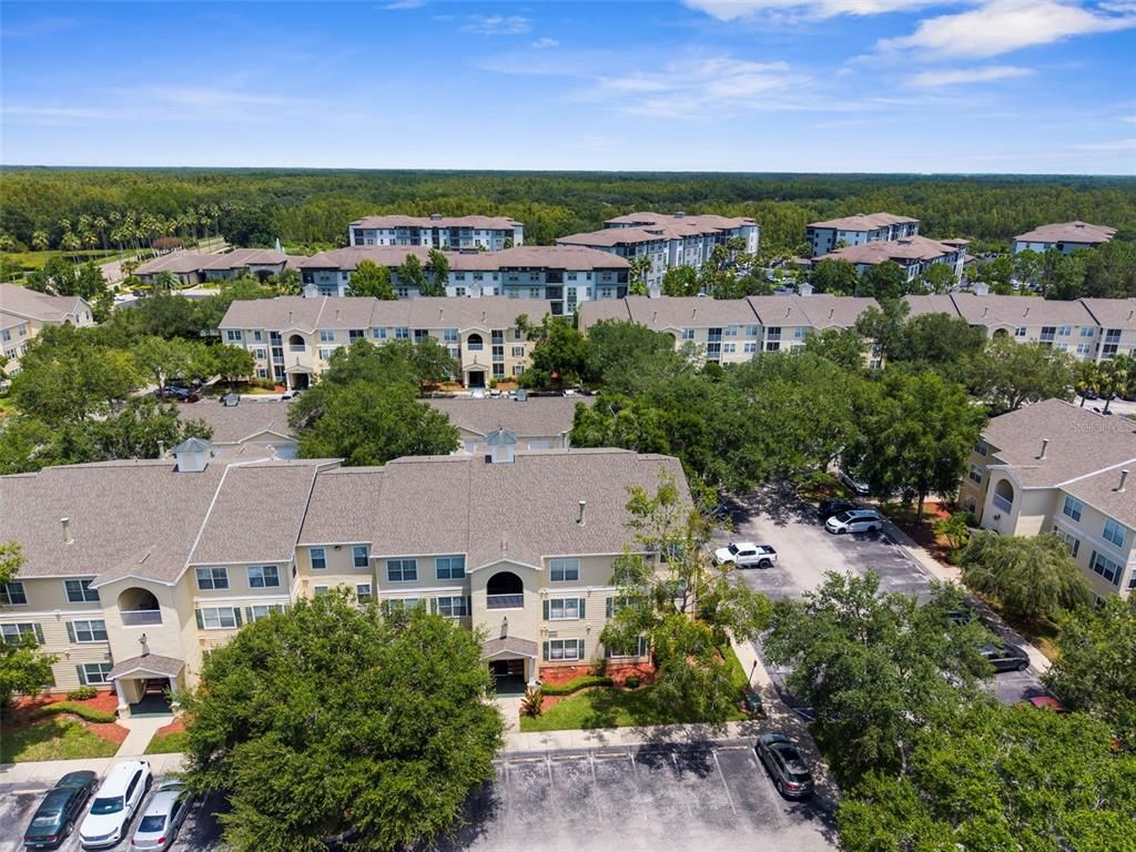 18434 BRIDLE CLUB DRIVE 18434, Tampa, FL 33647