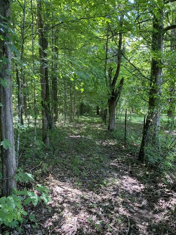 2342 Spain Hill Rd, Lascassas, TN 37085