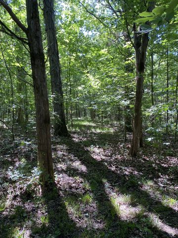 2342 Spain Hill Rd, Lascassas, TN 37085