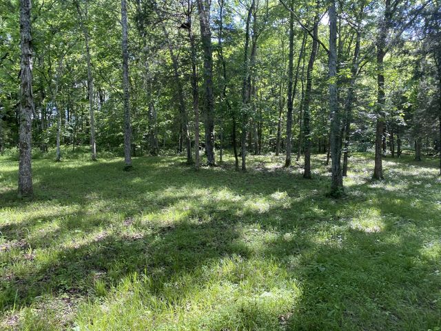 2342 Spain Hill Rd, Lascassas, TN 37085