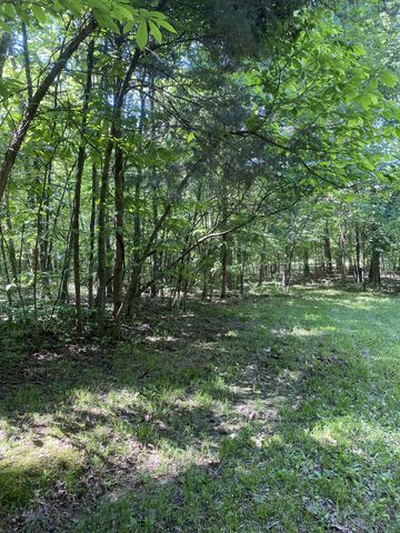 2342 Spain Hill Rd, Lascassas, TN 37085