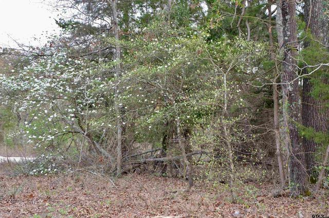222 Private Road 6235, Mineola, TX 75773