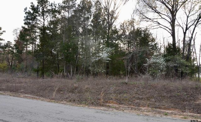 222 Private Road 6235, Mineola, TX 75773