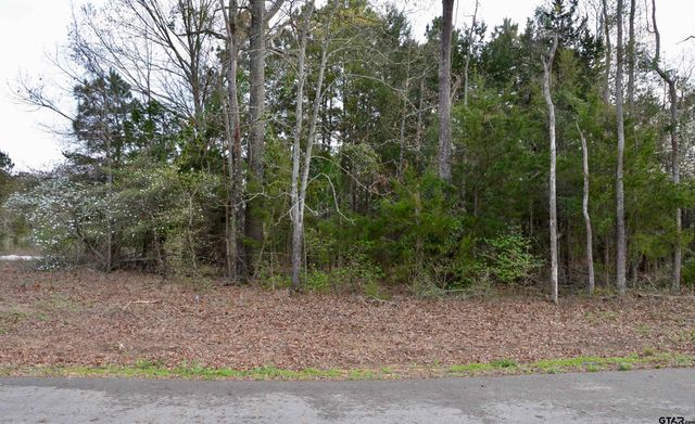 222 Private Road 6235, Mineola, TX 75773