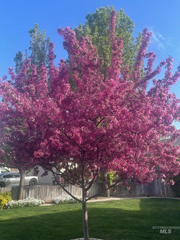 2441 N Snow Goose Way, Meridian, ID 83646