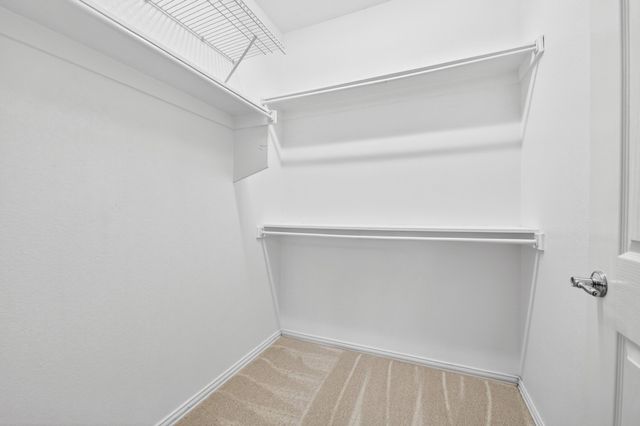 7538 Black Rock Cove, Frisco, TX 75036