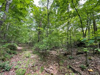 0 58.04 Ac Off Madison 9519, Fredericktown, MO 63645