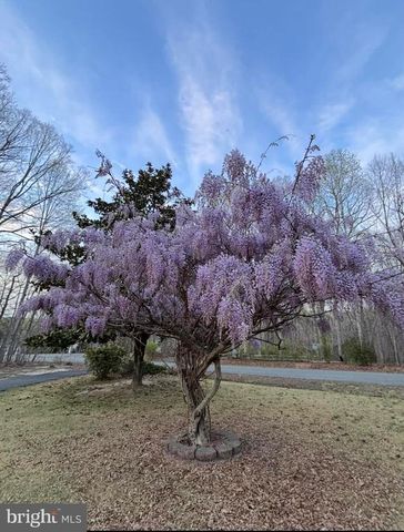 259 DAVID RD, Mineral, VA 23117