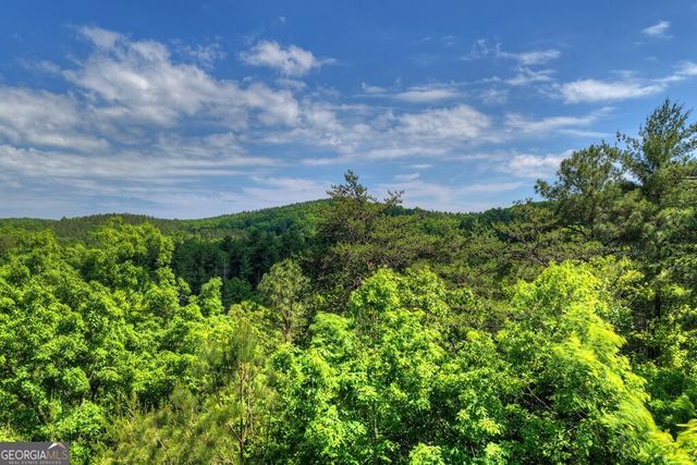 LOT 106 Mountain Creek Hollow Drive, Talking Rock, GA 30175