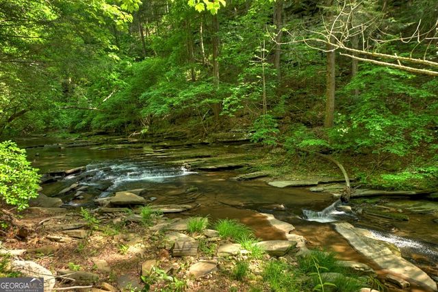 LOT 106 Mountain Creek Hollow Drive, Talking Rock, GA 30175