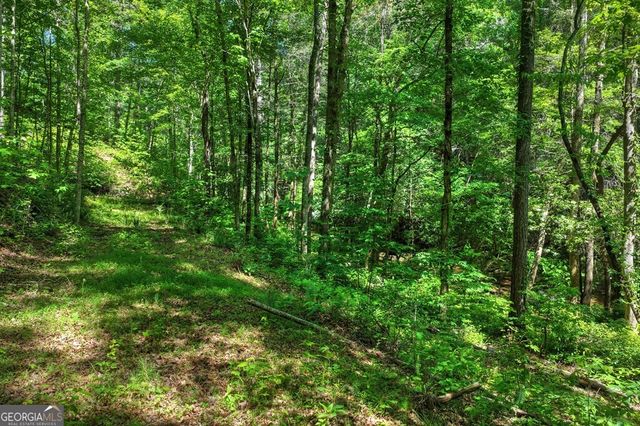 LOT 106 Mountain Creek Hollow Drive, Talking Rock, GA 30175