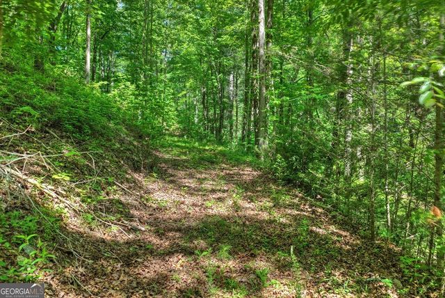 LOT 106 Mountain Creek Hollow Drive, Talking Rock, GA 30175