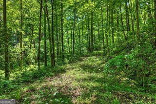 LOT 106 Mountain Creek Hollow Drive, Talking Rock, GA 30175