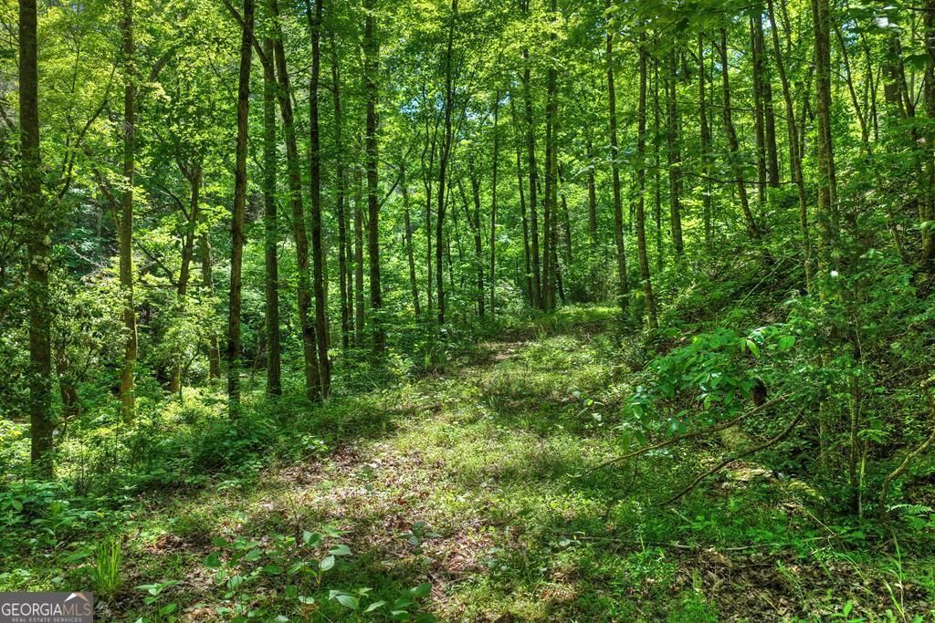 LOT 106 Mountain Creek Hollow Drive, Talking Rock, GA 30175